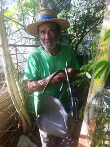 Andechi Calvert_Papegaai