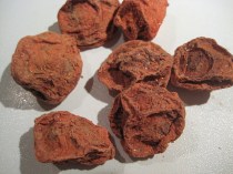 Salted Chinese plums.