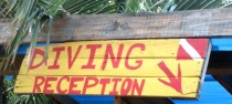 diving reception