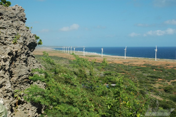Tera Kora Wind Farm.