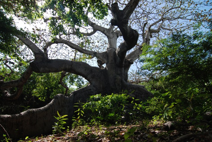 Photo by Alisa Paun; Pavone Photography.