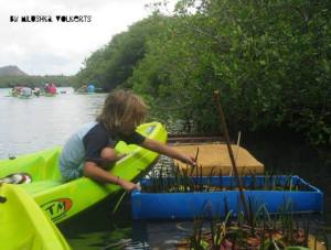 Ryan's son planting some mangroves.